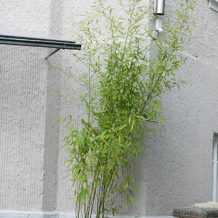 Family Wellhouse Garden Direct In Salzburg, Sunny Big Garden, Up To 16 Pax, Bikes For Free, Bbq, Sunbeds, Parking For Free, 15 Min Sound Of Music 别墅 萨尔茨堡