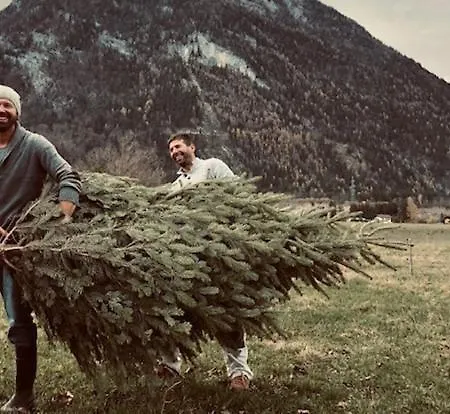 Family Wellhouse Garden Direct In Salzburg, Sunny Big Garden, Up To 16 Pax, Bikes For Free, Bbq, Sunbeds, Parking For Free, 15 Min Sound Of Music Villa Salzburg