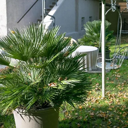 Family Wellhouse Garden Direct In Salzburg, Sunny Big Garden, Up To 16 Pax, Bikes For Free, Bbq, Sunbeds, Parking For Free, 15 Min Sound Of Music Vila