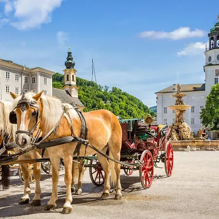 Family Wellhouse Garden Direct In Salzburg, Sunny Big Garden, Up To 16 Pax, Bikes For Free, Bbq, Sunbeds, Parking For Free, 15 Min Sound Of Music 萨尔茨堡