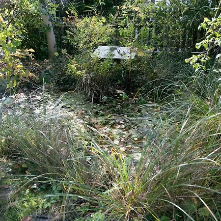 Villa Family Wellhouse Garden Direct In Salzburg, Sunny Big Garden, Up To 16 Pax, Bikes For Free, Bbq, Sunbeds, Parking For Free, 15 Min Sound Of Music