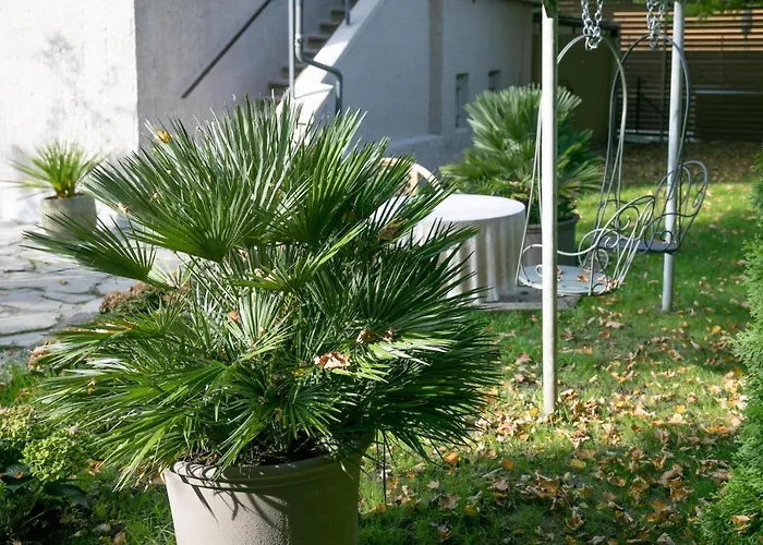 Family Wellhouse Garden Direct In Salzburg, Sunny Big Garden, Up To 16 Pax, Bikes For Free, Bbq, Sunbeds, Parking For Free, 15 Min Sound Of Music Villa