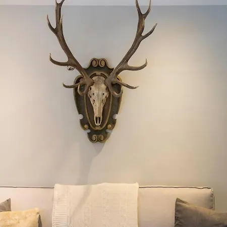 Family Wellhouse Garden Direct In Salzburg, Sunny Big Garden, Up To 16 Pax, Bikes For Free, Bbq, Sunbeds, Parking For Free, 15 Min Sound Of Music Villa Salzburg